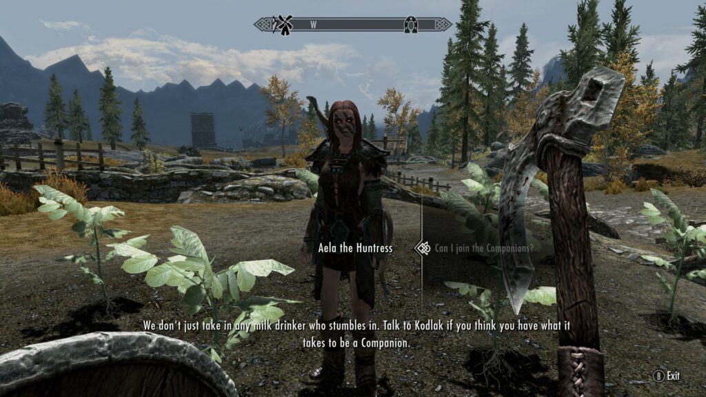 Skyrim and networking