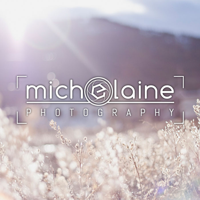 Michelaine Photography logo